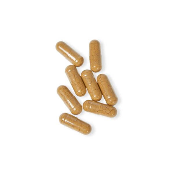 The Mushroom Site - Mushroom Blend Supplement (60 Capsules) - Image 5