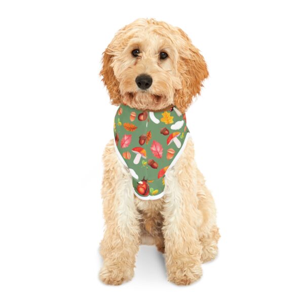 Autumn Forest Pet Hoodie - Cute Squirrel & Mushroom Design for Dogs & Cats - Image 4